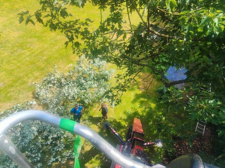 Tuinonderhoud en aanleg, Jardin & Terrasse, Bois de chauffage, Enlèvement ou Envoi