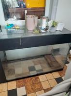 En raison d'un déménagement, je vends un aquarium complet po, Dieren en Toebehoren, Runderen