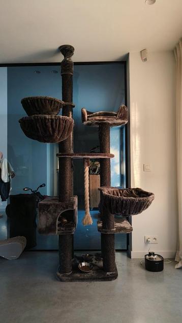 Katten krabpaal beschikbaar voor biedingen