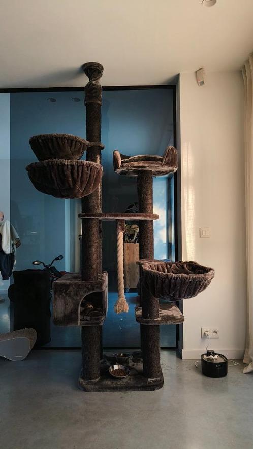Katten krabpaal, Dieren en Toebehoren, Krabmeubelen, Gebruikt, Krabpaal, Ophalen