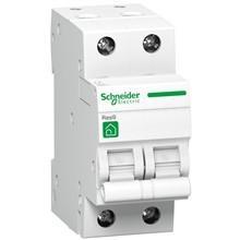 Schneider AUTOMAAT 2P25A en nog meer componenten, Bricolage & Construction, Électricité & Câbles, Neuf, Autres types, Enlèvement