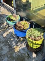 pots en céramique 30, 35 et 36cm, Rond, Tuin, Zo goed als nieuw, Minder dan 40 cm