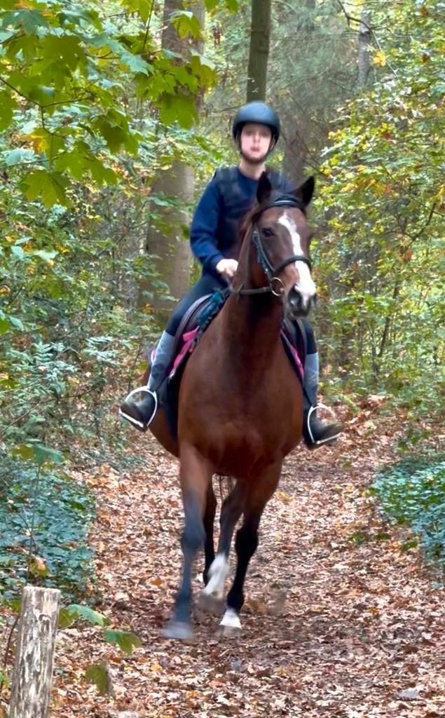 Brave 11j merrie normale prijs, Dieren en Toebehoren, Paarden, Merrie