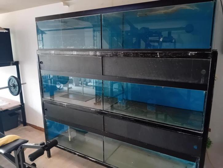 aquarium stelling 6 aquaria incl pomp voor 6 aquaria, Dieren en Toebehoren, Vissen | Aquaria en Toebehoren, Gebruikt, Ophalen