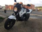 honda cb500 cb 500 '94, Motos, Motos | Honda, Plus de 35 kW, 2 cylindres, 500 cm³, Sport