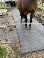 slijk beu /paddock verharden met rubbermatten, Mise à l'étable