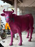 Koe roze decoratie, Dieren en Toebehoren, Juli, Geslacht onbekend