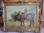 Schilderij Gerda Fassin van Ertvelde . stier in weide, Antiek en Kunst, Kunst | Schilderijen | Klassiek, Ophalen