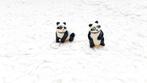 Ours panda, Collections, Jouets miniatures, Enlèvement ou Envoi