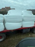 Voordroog, Dieren en Toebehoren, Dierenvoeding, Ophalen