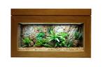 Vivarium en bois de chêne avec décoration, Dieren en Toebehoren, Ophalen, Zo goed als nieuw, Terrarium of Paludarium
