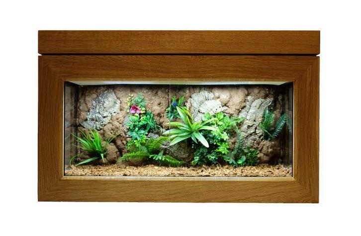 Vivarium en bois de chêne avec décoration, Dieren en Toebehoren, Reptielen en Amfibieën | Toebehoren, Zo goed als nieuw, Terrarium of Paludarium