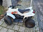 Ape pro 100 cc quad  suzuki Lt honda, Motoren