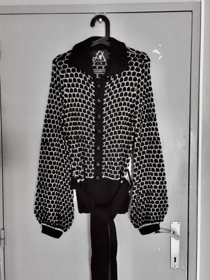 Vest maat 40 - LUX by Sara & Aimee Berman, Kleding | Dames, Truien en Vesten, Zo goed als nieuw, Maat 38/40 (M), Overige kleuren