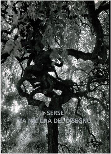 Serse La natura del disegno The nature of drawing beschikbaar voor biedingen