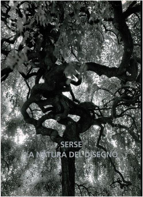 Serse La natura del disegno The nature of drawing, Boeken, Kunst en Cultuur | Beeldend, Gelezen, Ophalen of Verzenden