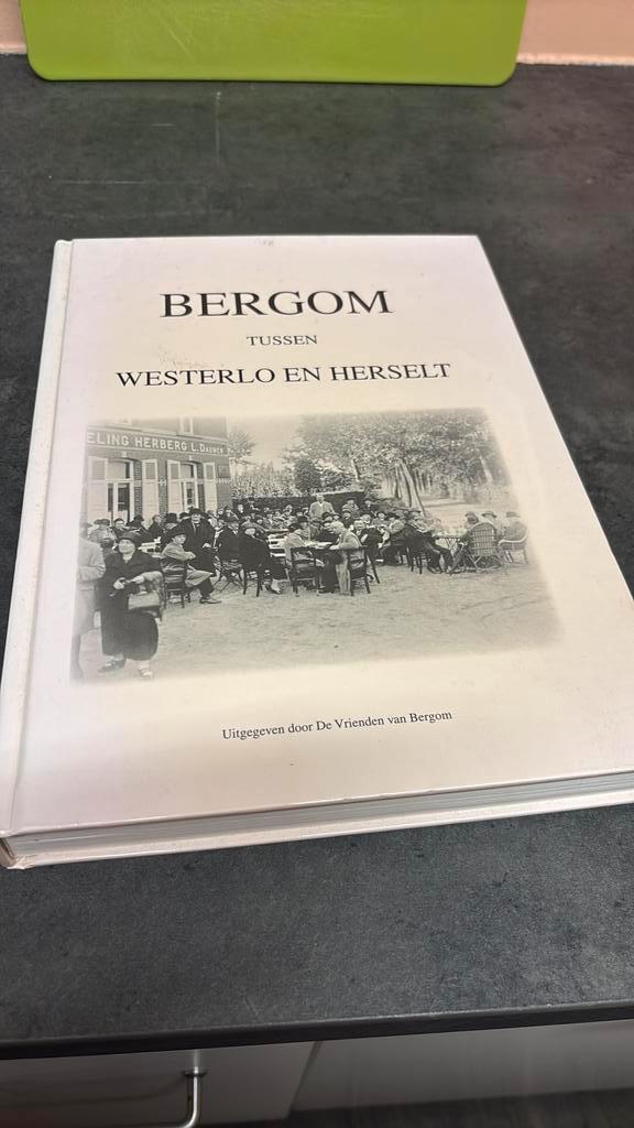 Bergom tussen westerlo en herselt, Boeken, Streekboeken en Streekromans, Zo goed als nieuw, Ophalen