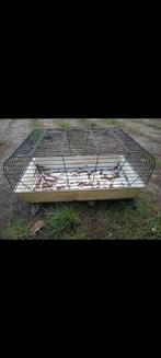 Kooi voor hamsters of konijn ..., Ophalen of Verzenden, Zo goed als nieuw, Kooi, Konijn