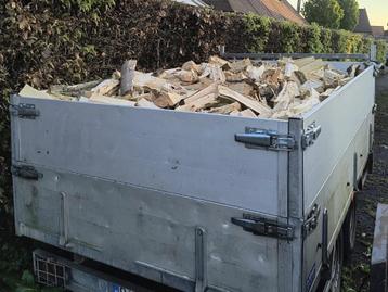 brandhout populier 4 kub beschikbaar voor biedingen