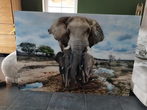 Magnifique cadre en plexiglass, Huis en Inrichting, Woonaccessoires | Schilderijen, Tekeningen en Foto's, Zo goed als nieuw, Ophalen