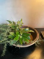 Houten schaal, Schaal, ., Ophalen of Verzenden, .