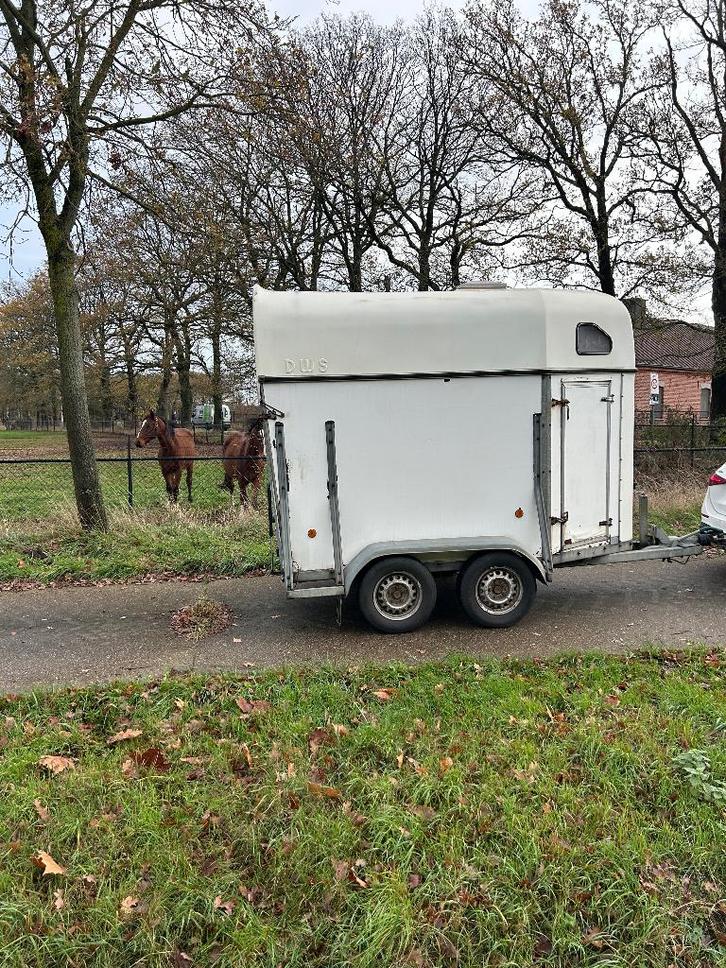 Paardentrailer, Dieren en Toebehoren, Paarden en Pony's | Trailers en Aanhangwagens, Gebruikt, 1½-paards trailer, Hout, Ophalen