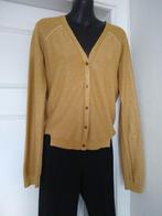 CKS  goudkleurig gileetje met touch of glitter, sz XL (M/L), Kleding | Dames, Truien en Vesten, Maat 38/40 (M), Overige kleuren