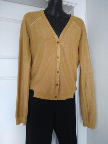 CKS  goudkleurig gileetje met touch of glitter, sz XL (M/L) beschikbaar voor biedingen
