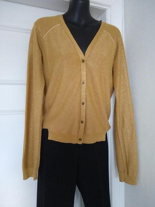 CKS  goudkleurig gileetje met touch of glitter, sz XL (M/L), Kleding | Dames, Truien en Vesten, Zo goed als nieuw, Maat 38/40 (M)