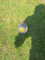 Waterbal met eend, Enlèvement, Utilisé, Garçon ou Fille