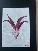 Genummerde illustratie postzegeluitgifte Paddenstoelen, Postzegels en Munten, Postzegels | Europa | België, Ophalen of Verzenden