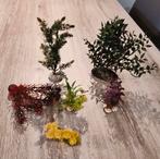 Kunststof aquarium planten