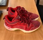 Basketschoenen Jordan maat 42, Sport en Fitness, Basketbal, Ophalen, Gebruikt
