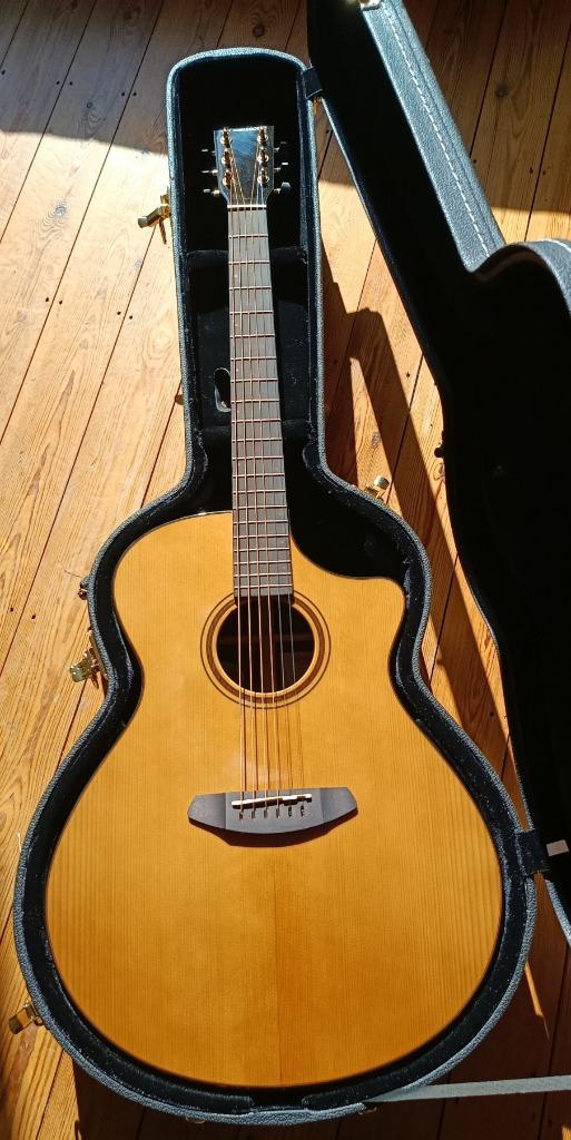 Breedlove, elektrisch-akoestische  gitaar, Muziek en Instrumenten, Snaarinstrumenten | Gitaren | Akoestisch, Nieuw, Western- of Steelstringgitaar