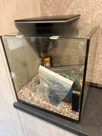 Visbak met toebehoren, Dieren en Toebehoren, Ophalen, Gebruikt