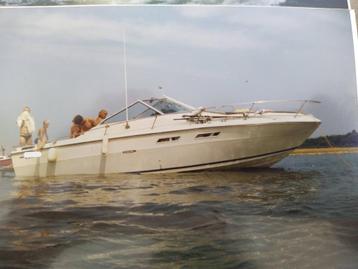 Motorboot Sea Ray, Watersport en Boten, Motorboten en Motorjachten, Ophalen, Gebruikt, 6 tot 9 meter, 50 pk of meer