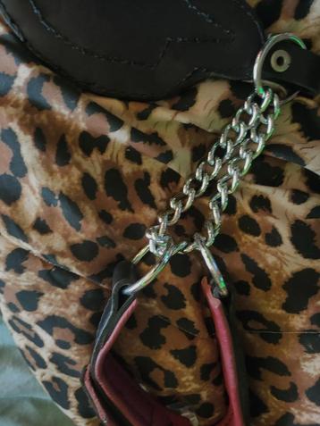 Laisse et collier étrangleur chien 8 modèle on était fait po disponible aux enchères