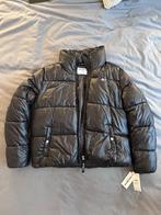 Tommy Hilfiger pufferjack, Zwart, Maat 42/44 (L), Nieuw, Ophalen of Verzenden