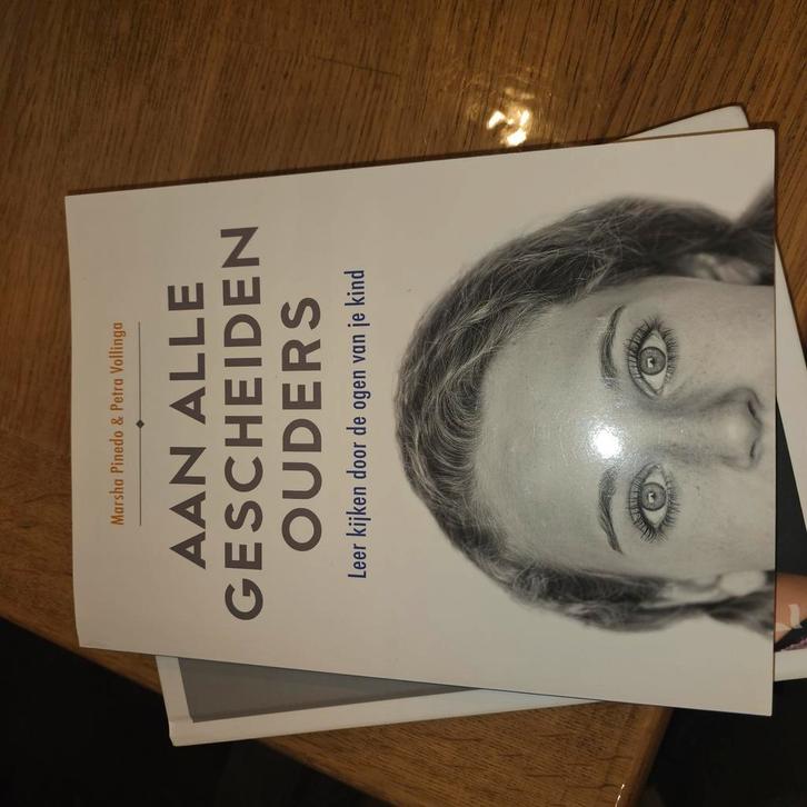 Petra Vollinga - Aan alle gescheiden ouders, Boeken, Psychologie, Zo goed als nieuw, Ophalen of Verzenden