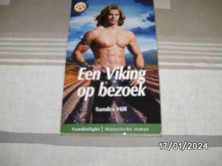 Een Viking op bezoek, Boeken, Romans, Nieuw, Nederland, Ophalen of Verzenden