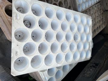 Stekplaat zaaiplaat plantplaat 38 gaten  beschikbaar voor biedingen