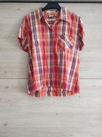 Kleurrijke blouse met korte mouwen, zo goed als nieuw!, Vêtements | Femmes, Blouses & Tuniques, Comme neuf, Taille 36 (S), Groggy