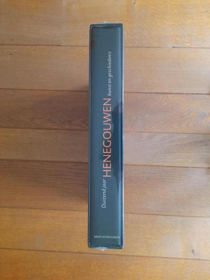 1000 jaar Henegouwen – kunst en geschiedenis, Boeken, Geschiedenis | Stad en Regio, Nieuw, Ophalen of Verzenden