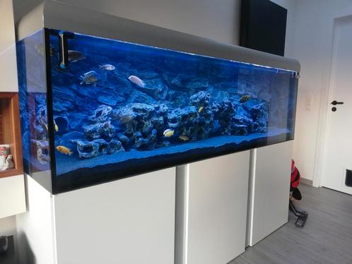 Kunstof aquarium rotsen aqua della, Animaux & Accessoires, Poissons | Aquariums & Accessoires, Comme neuf, Enlèvement ou Envoi