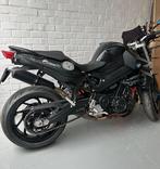 BMW F800r, Motos, Naked bike, Particulier, 2 cylindres, 800 cm³