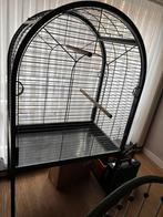 Papegaaikooi 3 maand oud, Dieren en Toebehoren, Ophalen, Zo goed als nieuw, Metaal, Vogelkooi