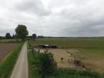 Weide te koop, Verkoop zonder makelaar, 1500 m² of meer