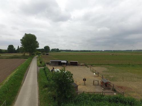 Weide te koop, Immo, Gronden en Bouwgronden, 1500 m² of meer, Verkoop zonder makelaar