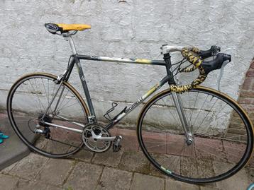 Koersfiets giacomelli competitor beschikbaar voor biedingen