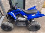 Yamaha Raptor quad 110cc 2024, Motoren